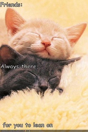 Friends: Always there,  for you to lean on