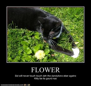 FLOWER
