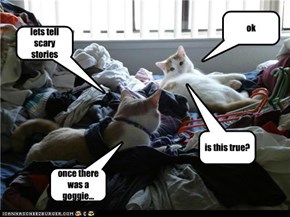 lets tell scary stories