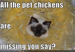 All the pet chickens  are missing you say?