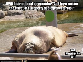 NWR instructional powerpoint: "And here we see  the effect of a properly deployed waterblol."