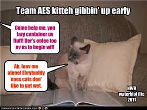 Team AES kitteh gibbin' up early