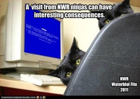 A  visit from NWR ninjas can have   interesting consequences.