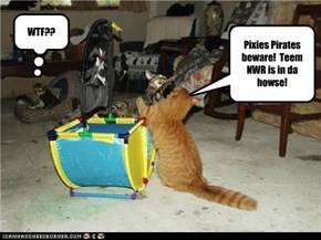 Pixies Pirates beware!  Teem NWR is in da howse!
