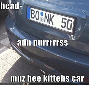 head- adn purrrrrss muz bee kittehs car