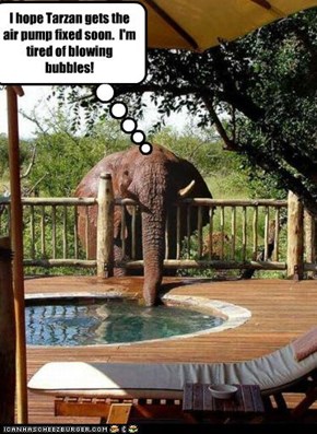 I hope Tarzan gets the air pump fixed soon.  I'm tired of blowing bubbles!