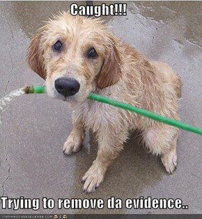 Caught!!