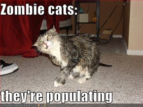 Zombie cats:  they're populating