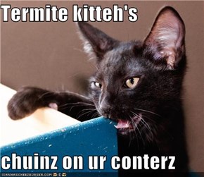Termite kitteh's  chuinz on ur conterz