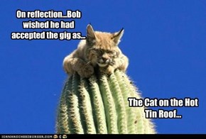 On reflection...Bob wished he had accepted the gig as...