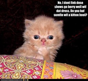 No, I dont fink dose shews go berry well wif dat dress. Do you haf sumfin wif a kitten heel?