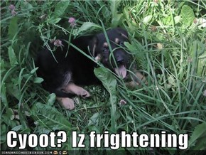 Cyoot? Iz frightening
