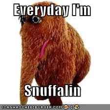 Everyday I'm  Snuffalin