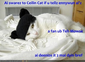 Ai swarez to Ceilin Cat if u tellz ennywun ai'z a fan ub Teh Mowse ai deenize it 2 mai dyin bref