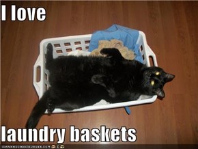 I love  laundry baskets
