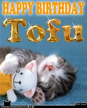 Happy Birthday Tofu . . . . . . . . . . . . . . . . . . . . . . . . . . . . . . . . . .