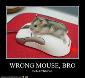 WRONG MOUSE, BRO