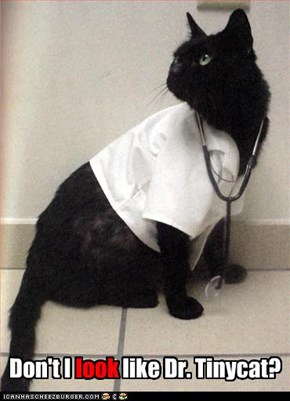 Don't I look like Dr. Tinycat?