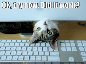 OK, try now. Did it work?