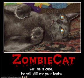 Zombie Cat