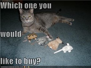 Which one you would  like to buy?