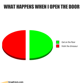 WHAT HAPPENS WHEN I OPEN THE DOOR