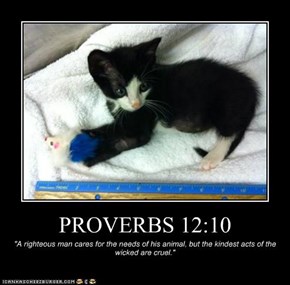 PROVERBS 12:10