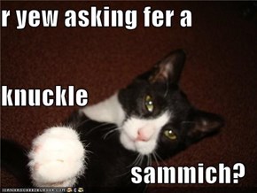 r yew asking fer a knuckle  sammich?