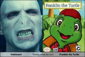 Voldemort Totally Looks Like Franklin the Turtle