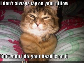 I don't always lay on your pillow.  But when I do, your head is on it