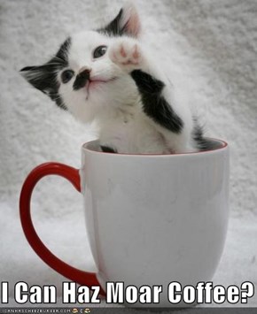 I Can Haz Moar Coffee?
