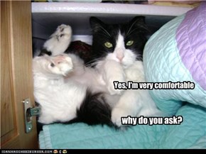 Yes, I'm very comfortable