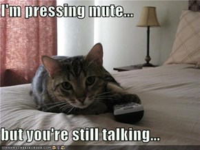 I'm pressing mute...  but you're still talking...