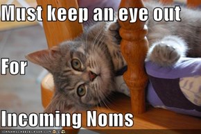 Must keep an eye out For Incoming Noms