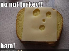 no not turkey!!  ham!