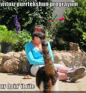 witniz purrtekshun prograyum  ur doin' it rite