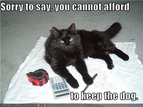 Sorry to say, you cannot afford  to keep the dog.