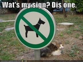 Wat's my sign? Dis one.