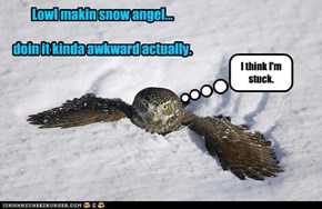 Lowl makin snow angel...  doin it kinda awkward actually.