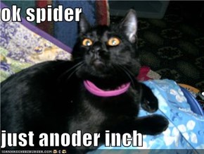 ok spider  just anoder inch