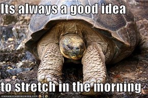 Its always a good idea  to stretch in the morning