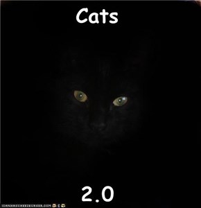 Cats  2.0