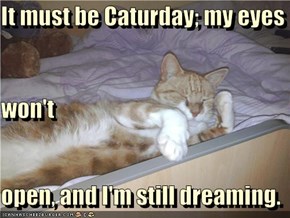 It must be Caturday; my eyes  won't open, and I'm still dreaming.