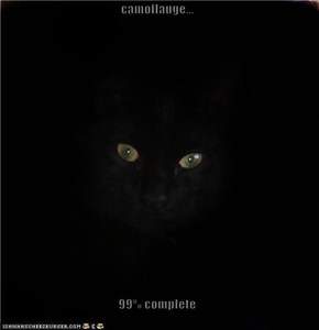 camoflauge...  99% complete