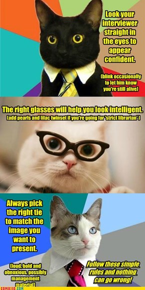 Business cat's tips for job interviews.