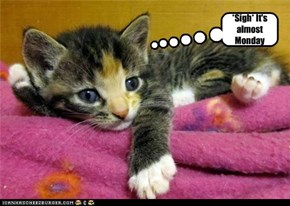 *Sigh* It's almost Monday