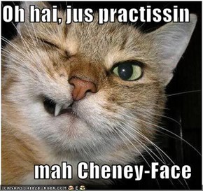 Oh hai, jus practissin  mah Cheney-Face