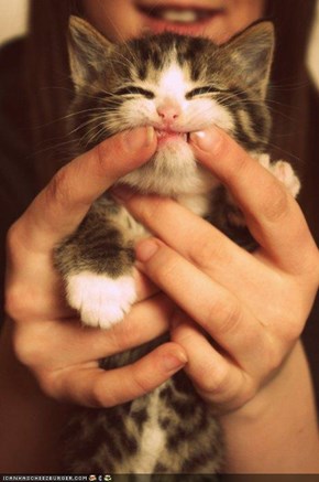 Cyoot Kitteh of teh Day: Show Me Ur Teeth!