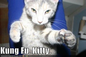 Kung Fu. Kitty.