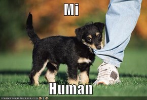 Mi  Human